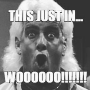 Meet your Posher, Bill